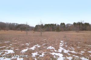 1323 E 104th St, Grant, MI 49327 photo 32