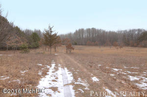 1323 E 104th St, Grant, MI 49327 photo 31