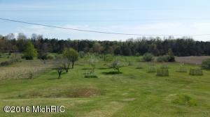 3917 E Madison Rd, Walkerville, MI 49459 photo 22