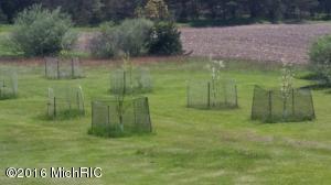 3917 E Madison Rd, Walkerville, MI 49459 photo 21