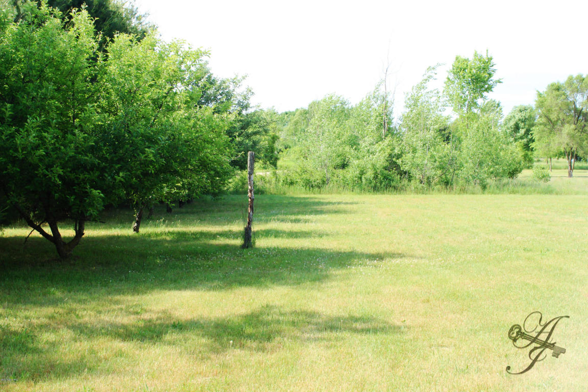11240 E Pakes Rd, Crystal, MI 48818 photo 7