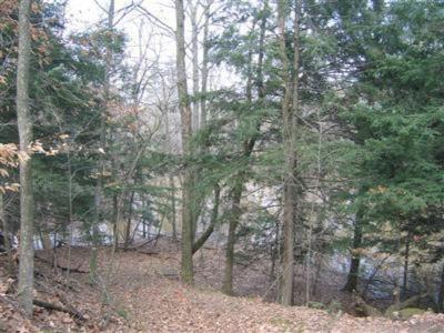 4443 Rabbit River Run, Hamilton, MI 49419 photo 5
