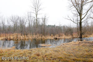 732 E Green St, Marshall, MI 49068 photo 18