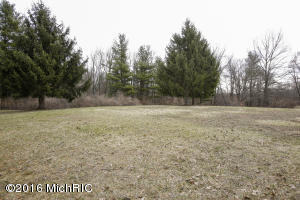 14590 Ef Ave, Augusta, MI 49012 photo 22