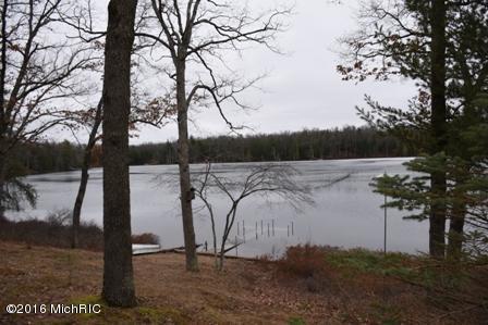 4526 W Erna Lou Dr, Baldwin, MI 49304 photo 4