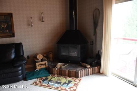 4526 W Erna Lou Dr, Baldwin, MI 49304 photo 7