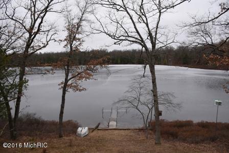 4526 W Erna Lou Dr, Baldwin, MI 49304 photo 5
