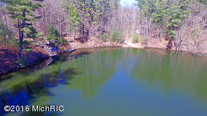 6833 E Carrigan Dr, Newaygo, MI 49337 photo 31