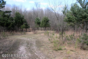 5901 W 1 Mile Rd, White Cloud, MI 49349 photo 36