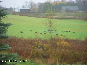 5901 W 1 Mile Rd, White Cloud, MI 49349 photo 23