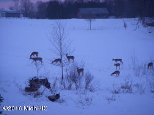5901 W 1 Mile Rd, White Cloud, MI 49349 photo 22