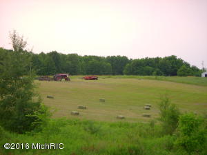 5901 W 1 Mile Rd, White Cloud, MI 49349 photo 21