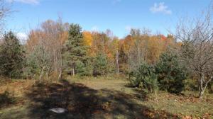 5901 W 1 Mile Rd, White Cloud, MI 49349 photo 18