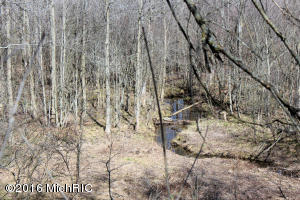 5901 W 1 Mile Rd, White Cloud, MI 49349 photo 38