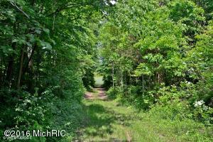 2126 E Glendora Rd, Buchanan, MI 49107 photo 25