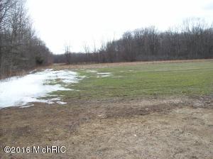 799 N Lumberjack Rd, Sumner, MI 48889 photo 6