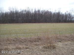 799 N Lumberjack Rd, Sumner, MI 48889 photo 8