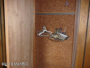 58508 Ash Rd, Three Rivers, MI 49093 photo 20