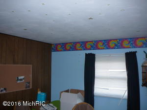 58508 Ash Rd, Three Rivers, MI 49093 photo 17
