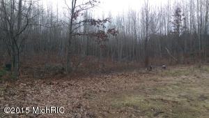 4116 E Buchanan Rd, Shelby, MI 49455 photo 1