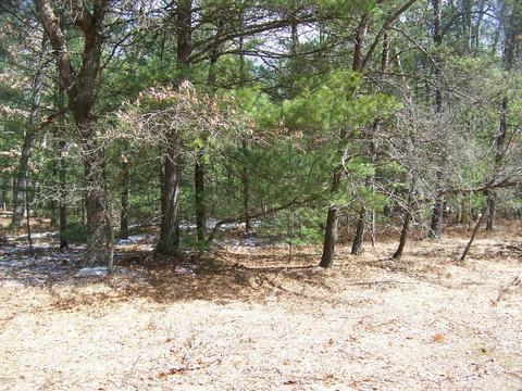 633 W 24th St, Baldwin, MI 49304 photo 8