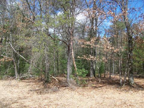 633 W 24th St, Baldwin, MI 49304 photo 9