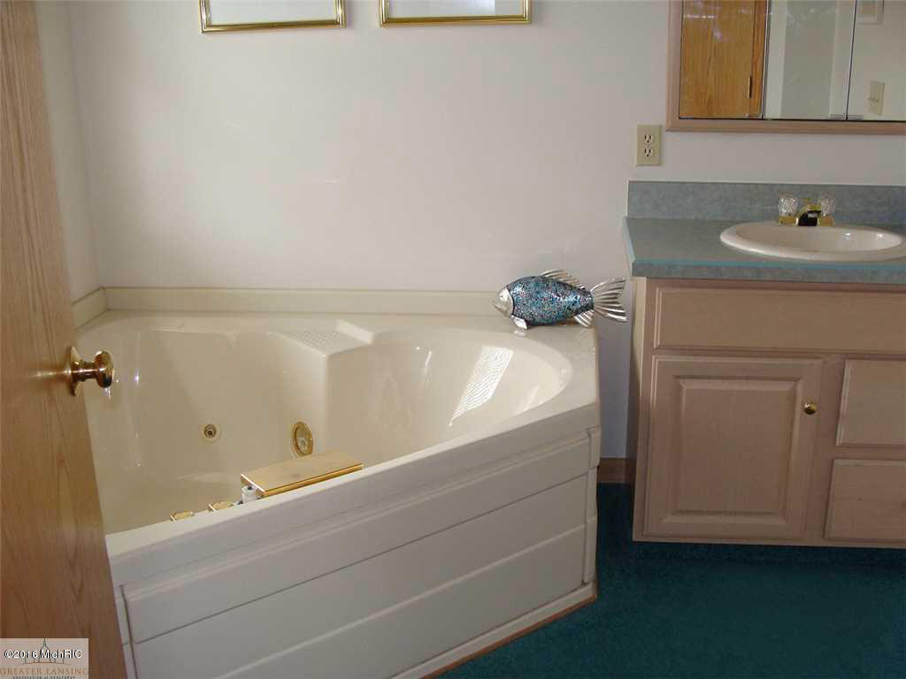 8283 Hall Rd, Bellevue, MI 49021 photo 10