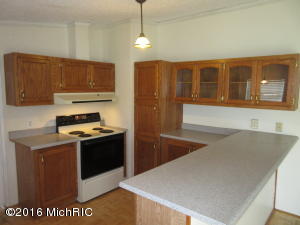 96 E Hillis Rd, Stanton, MI 48888 photo 10