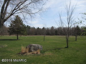 96 E Hillis Rd, Stanton, MI 48888 photo 7