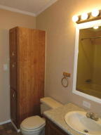 96 E Hillis Rd, Stanton, MI 48888 photo 15