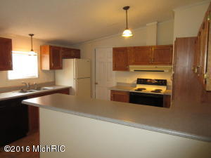 96 E Hillis Rd, Stanton, MI 48888 photo 11