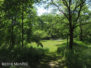 9119 S Collins Rd, Fenwick, MI 48834 photo 14
