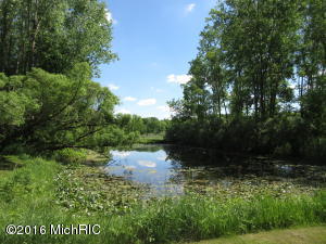 9119 S Collins Rd, Fenwick, MI 48834 photo 15
