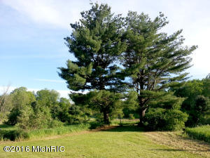 532 E 8th St, White Cloud, MI 49349 photo 5