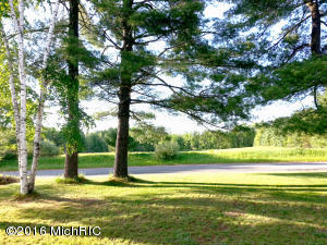 532 E 8th St, White Cloud, MI 49349 photo 2