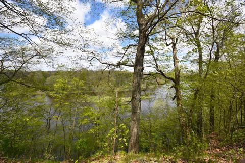 13875 Thompson Dr, Lowell, MI 49331 photo 1