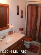 106 E Gatehouse Dr, Edmore, MI 48829 photo 7