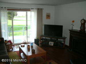 106 E Gatehouse Dr, Edmore, MI 48829 photo 3