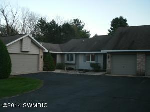 106 E Gatehouse Dr, Edmore, MI 48829 photo 11