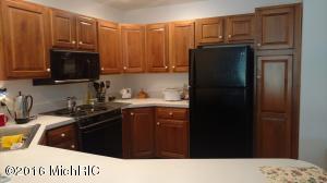 106 E Gatehouse Dr, Edmore, MI 48829 photo 2