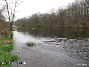 13357 Forest River Dr SE, Lowell, MI 49331 photo 12