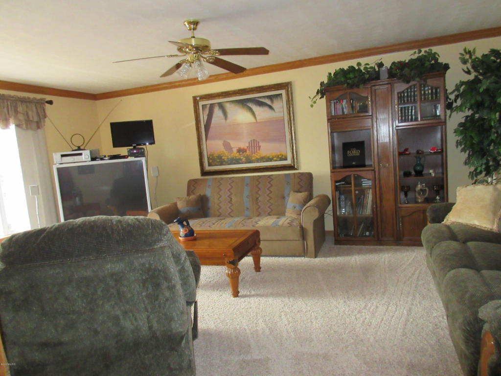 831 Lou Anne St, Stanton, MI 48888 photo 9