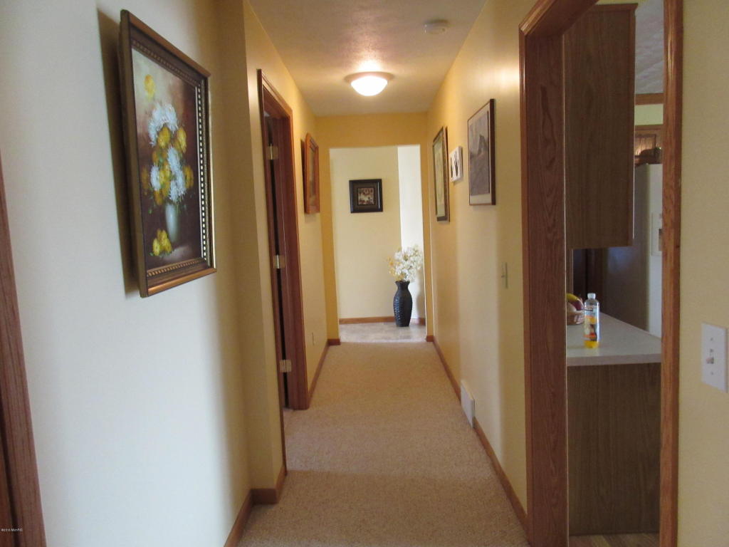 831 Lou Anne St, Stanton, MI 48888 photo 4