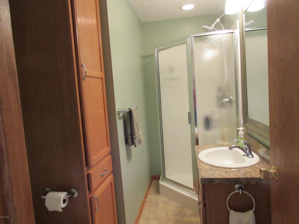 831 Lou Anne St, Stanton, MI 48888 photo 16