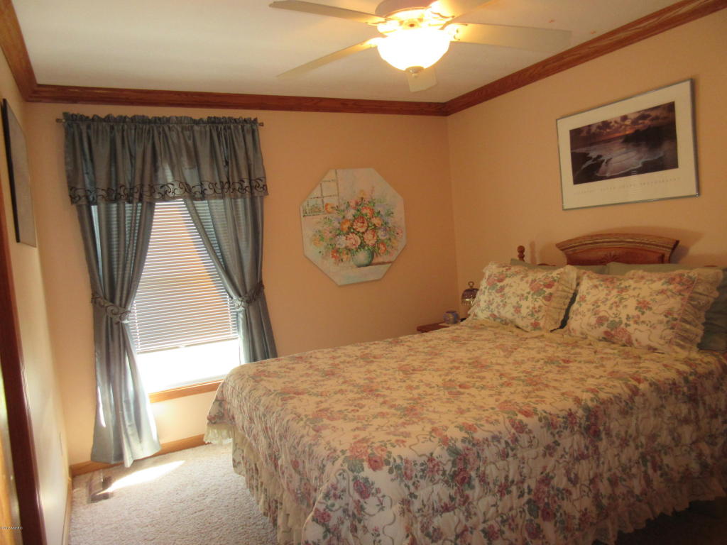 831 Lou Anne St, Stanton, MI 48888 photo 5