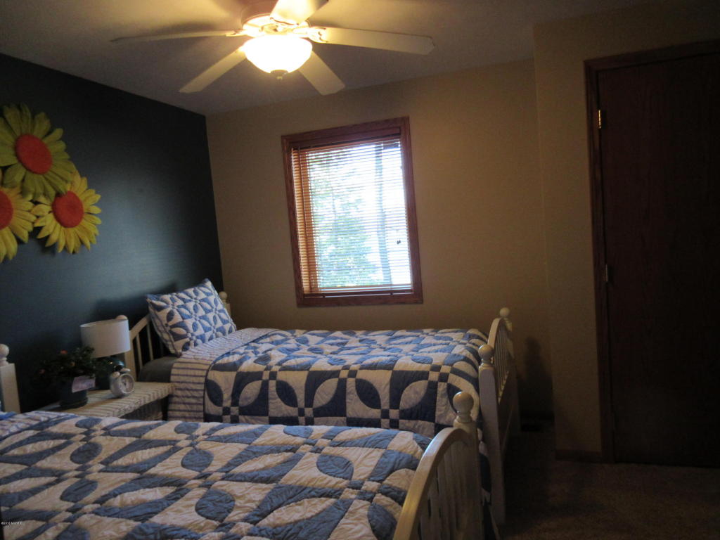 831 Lou Anne St, Stanton, MI 48888 photo 15