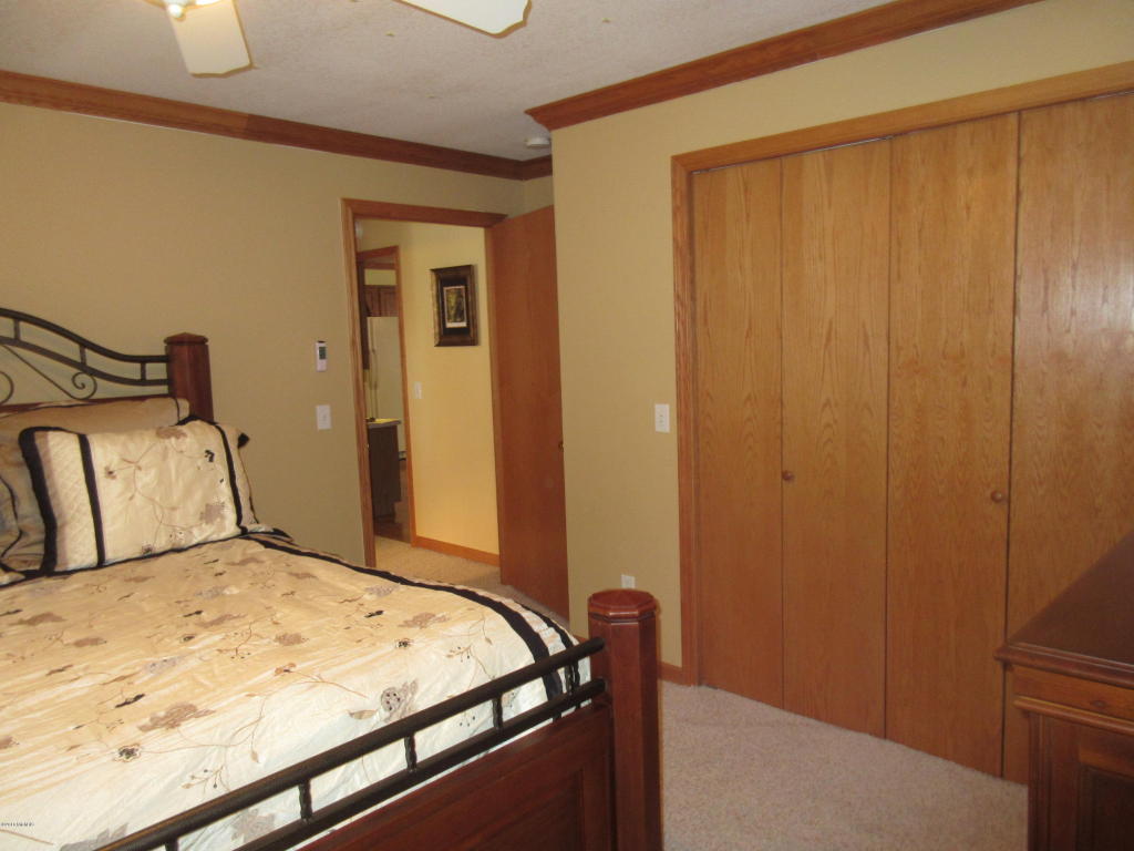 831 Lou Anne St, Stanton, MI 48888 photo 8