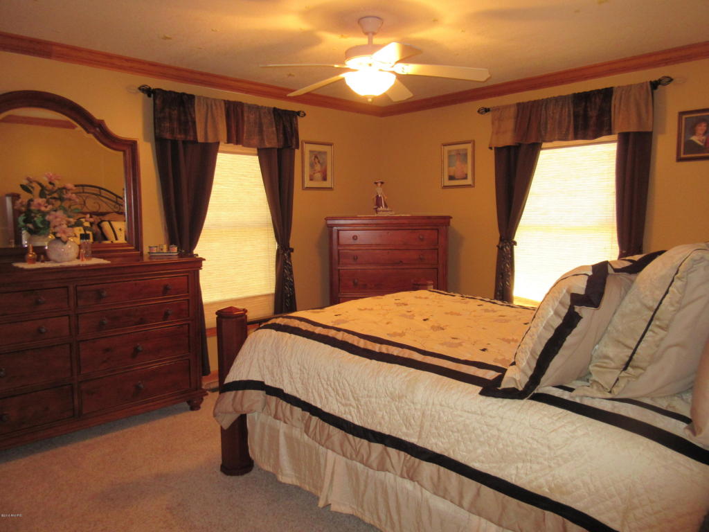 831 Lou Anne St, Stanton, MI 48888 photo 7