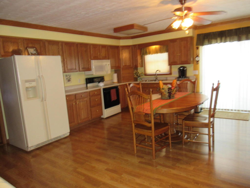 831 Lou Anne St, Stanton, MI 48888 photo 11