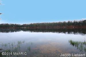 4599 S Spruce Ave, White Cloud, MI 49349 photo 26
